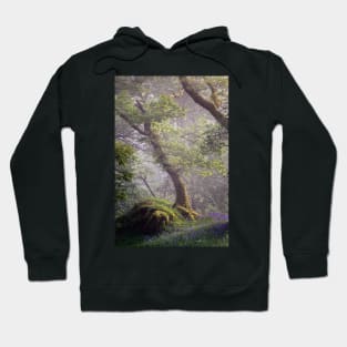 The Oak Tree and the Rock Hoodie